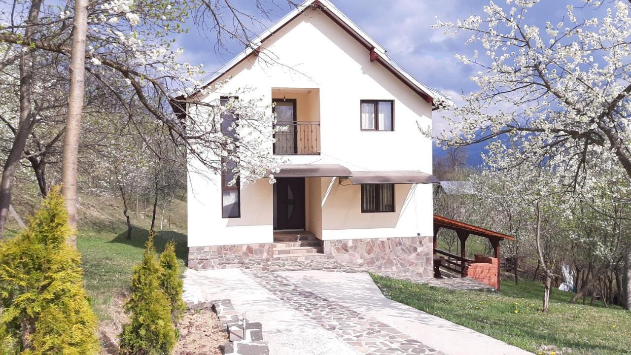 Casa Flutar Villa Moisei Exterior photo