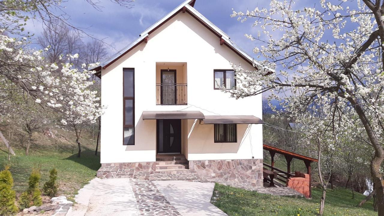 Casa Flutar Villa Moisei Exterior photo