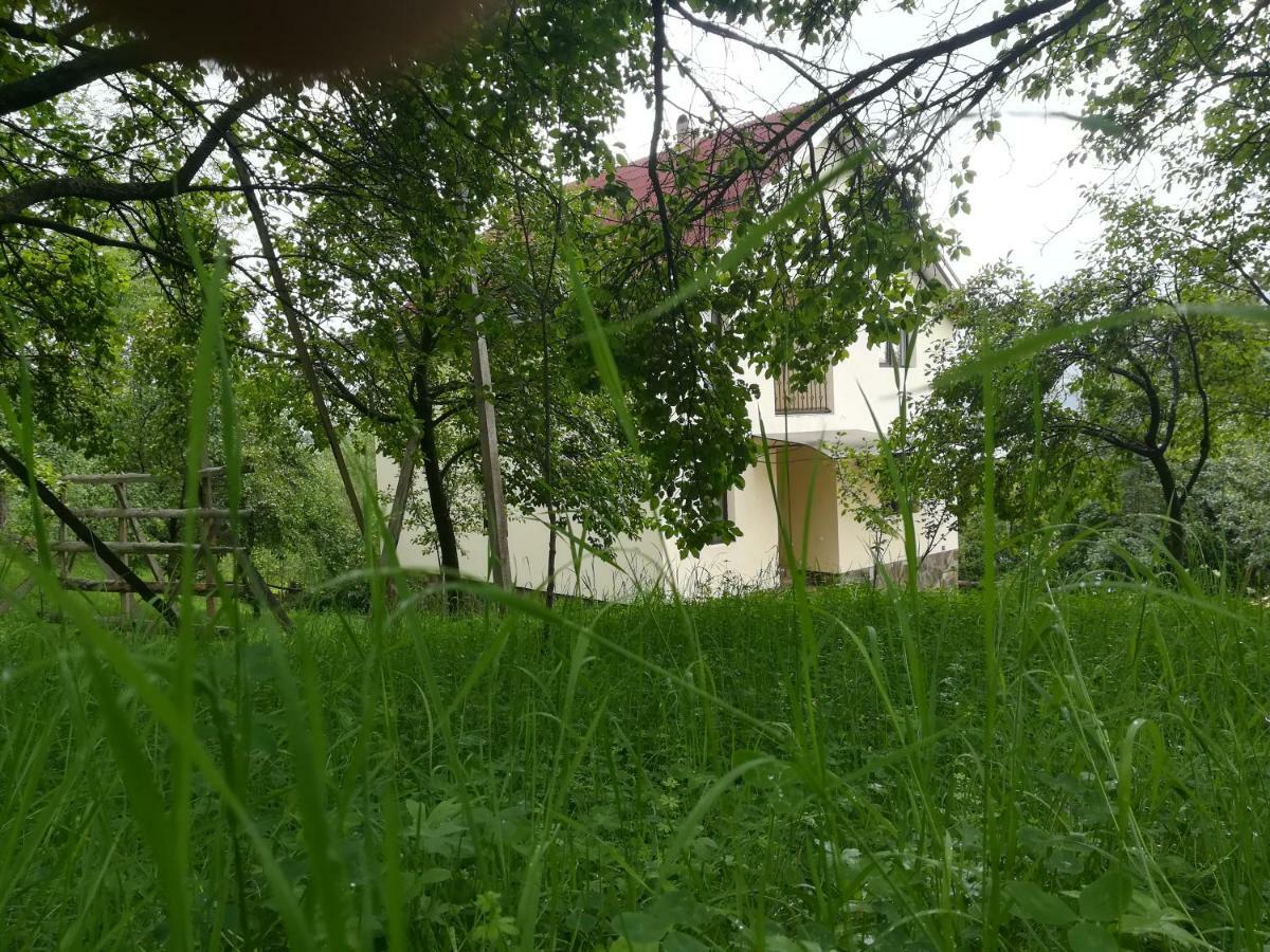 Casa Flutar Villa Moisei Exterior photo